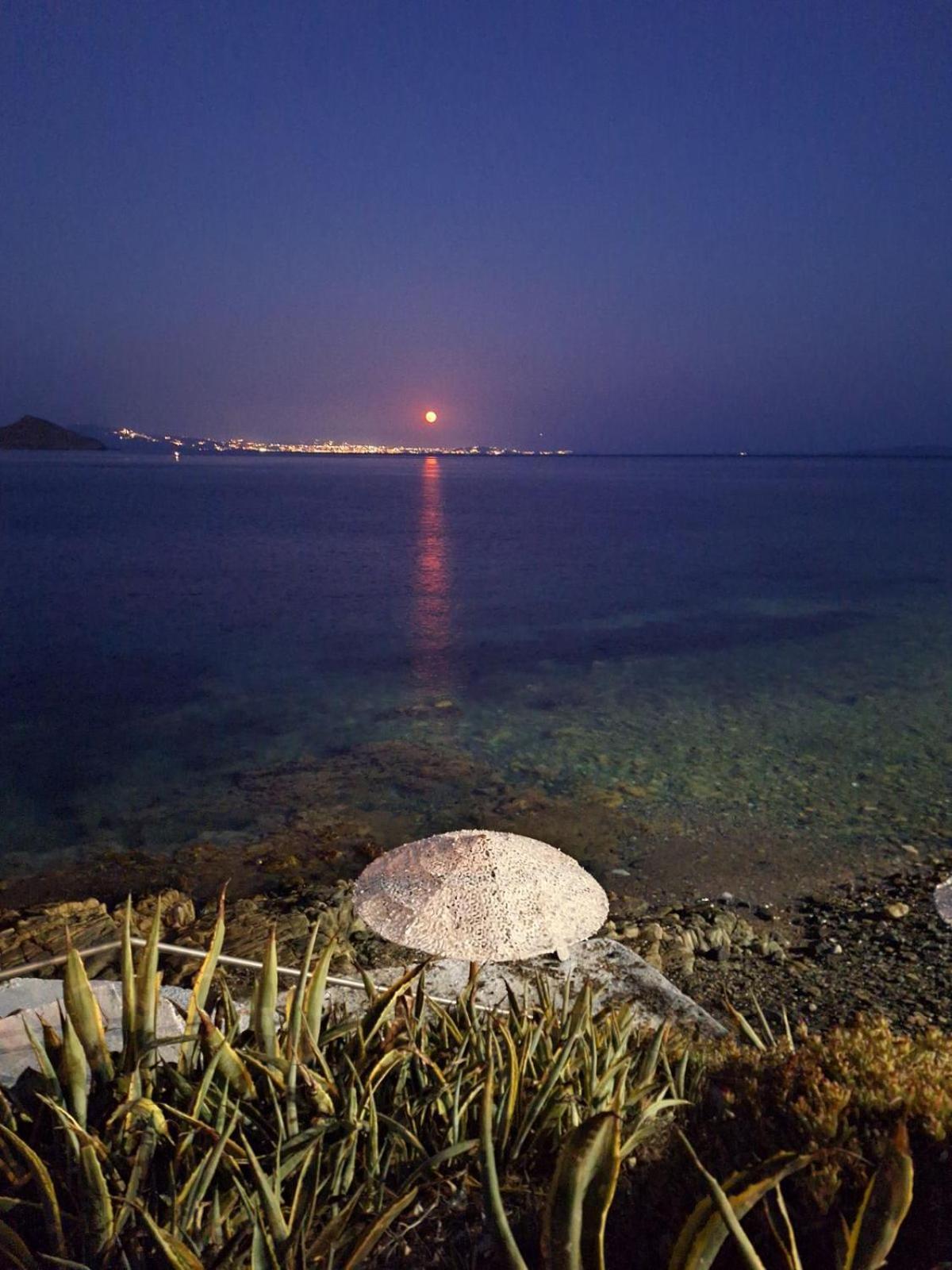 Agali Bay Hotel Tinos Exterior photo